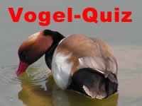 Vogel Quiz